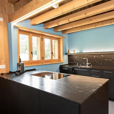 Meiseli Apartment Adelboden